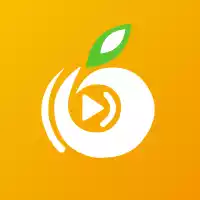 橘子直播app官网