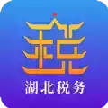 湖北省税务局app登录