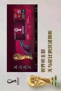 fifa2010世界杯截图